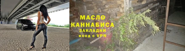 индика Горнозаводск
