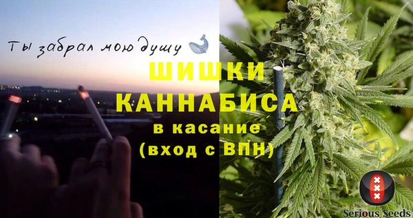 ПСИЛОЦИБИНОВЫЕ ГРИБЫ Верхний Тагил