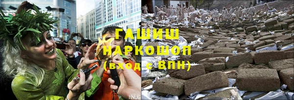 ПСИЛОЦИБИНОВЫЕ ГРИБЫ Верхний Тагил