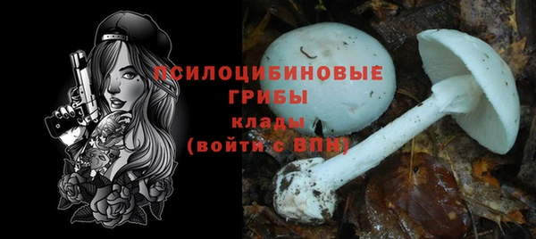 спайс Верея