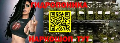 молекула духа Донской