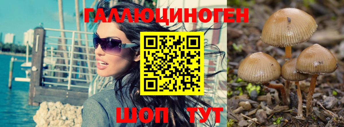 Псилоцибиновые грибы мицелий Назарово